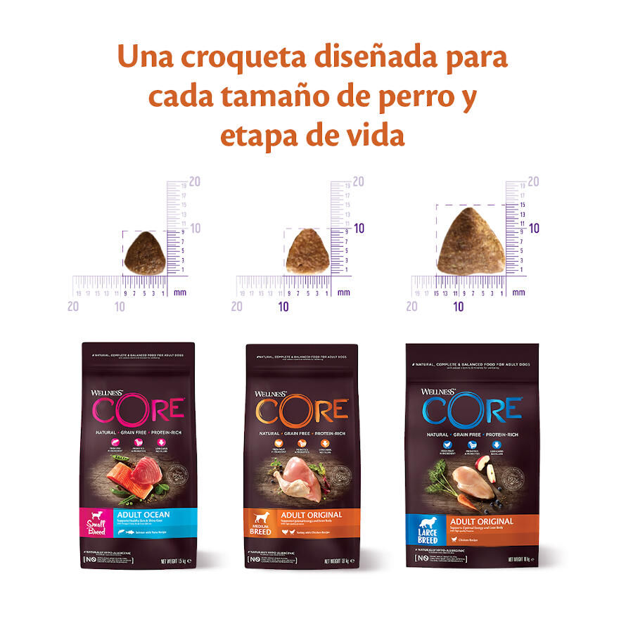 Wellness Core Adult Small Original Pavo y Pollo pienso para perros thumbnail