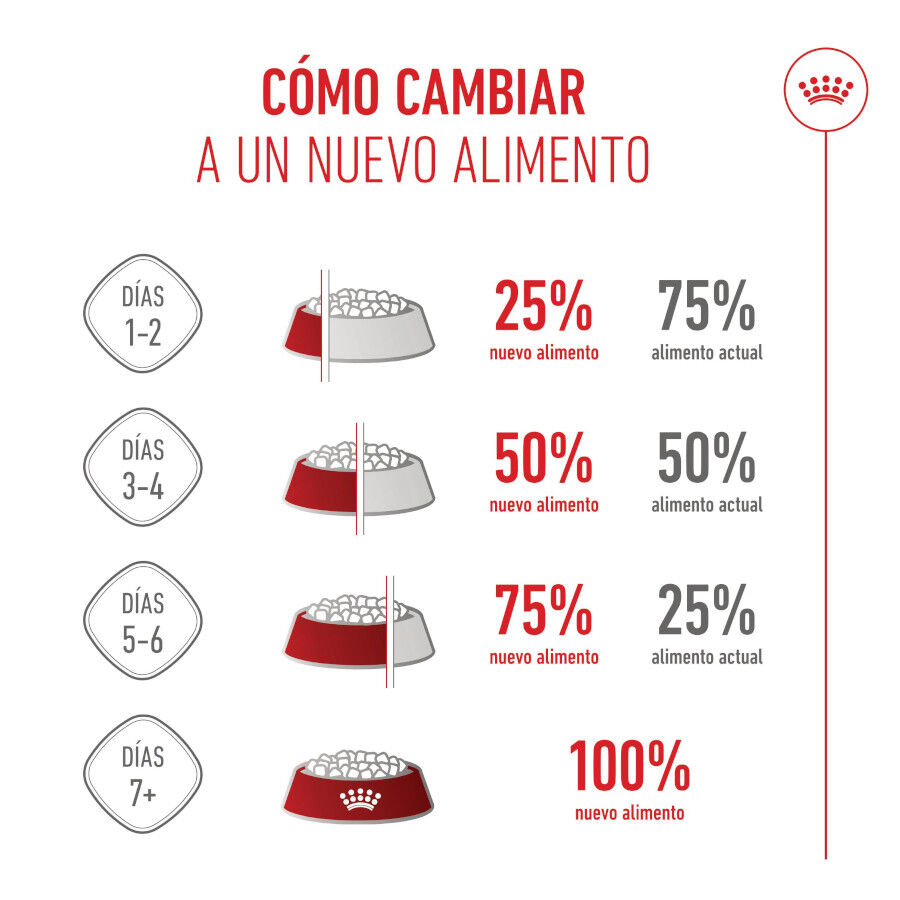 Royal Canin Junior Giant pienso para perros thumbnail