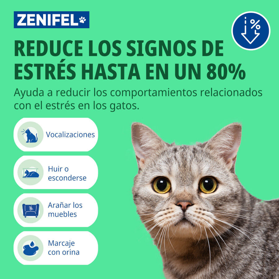 Virbac Zenifel Gel Difusor para gatos, , large Imagen numero 4