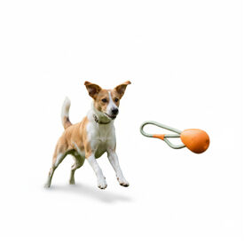 BECO Mordedor de Goma con Cuerda Naranja para perros