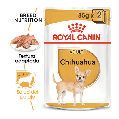 Royal Canin Adult Chihuahua paté en sobre 