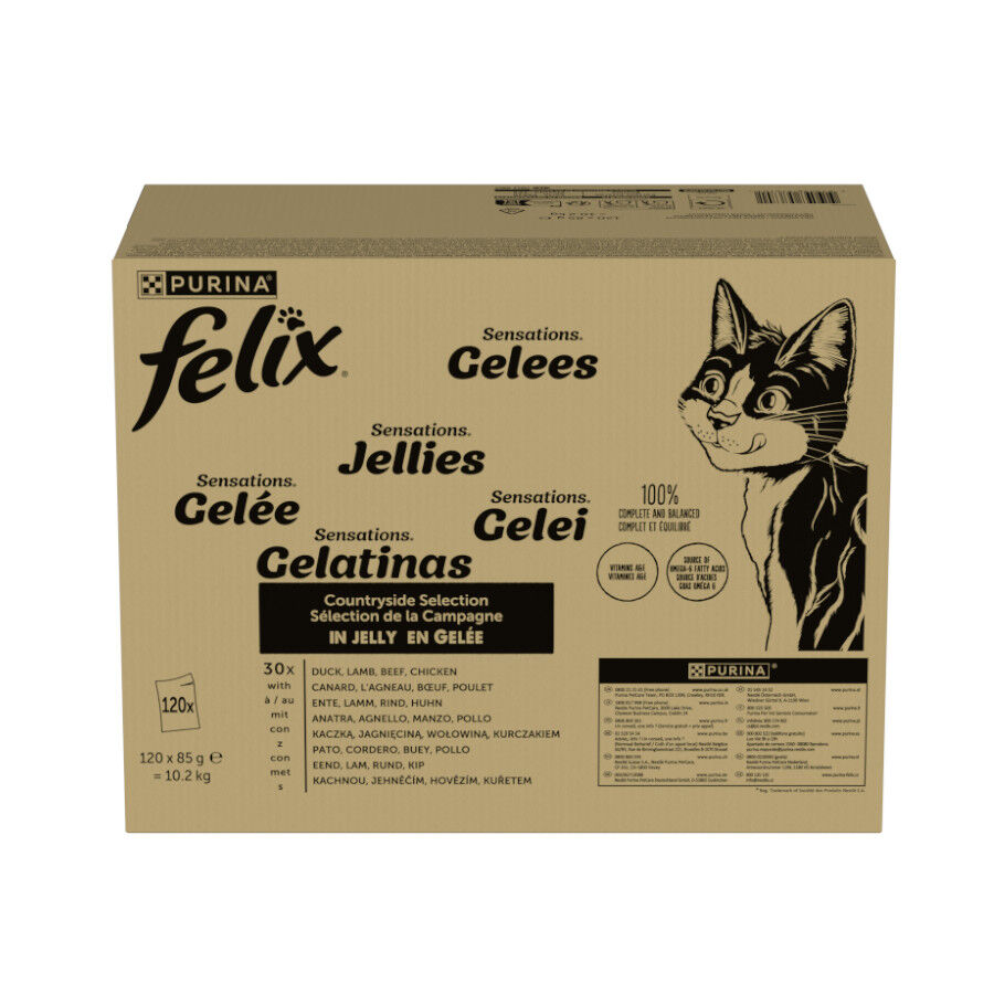 Felix Sensations Mix Carne Gelatina sobre para gatos