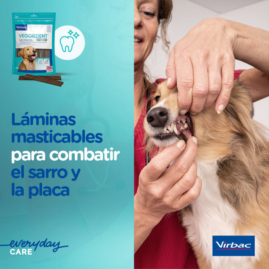 Virbac Snacks Dentales Veggiedent Fresh para perros de raza mediana thumbnail