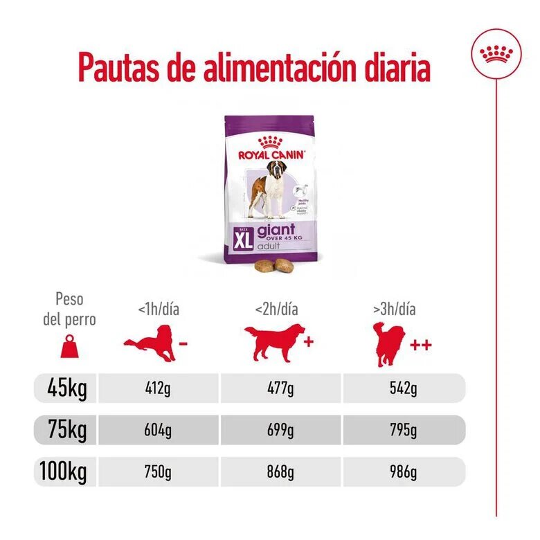 15 kg Royal Canin Giant Adult pienso para perros,  Imagen numero 10 15 kg Royal Canin Giant Adult pienso para perros, , large Imagen numero 10