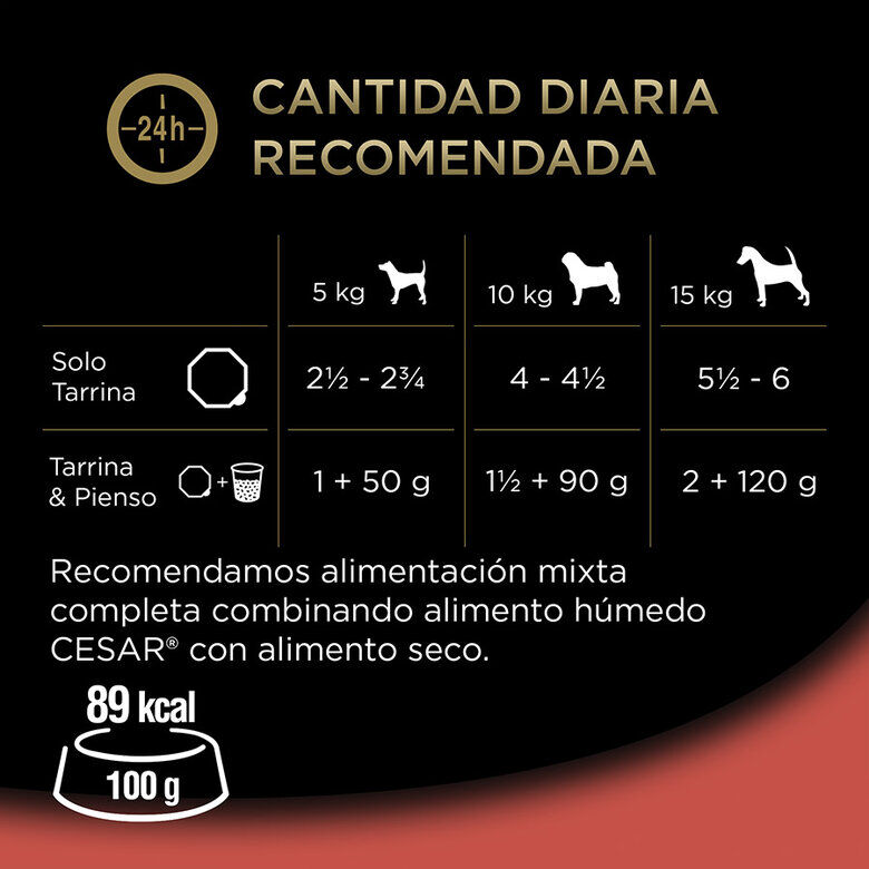 Cesar Selección Clasicos Tarrina en Paté para Perros - Multipack thumbnail