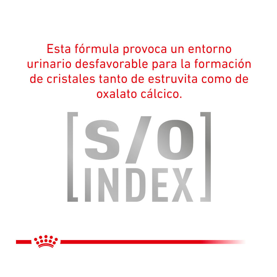 Royal Canin Veterinary Urinary Moderate Calorie pienso para gatos thumbnail