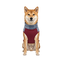 Gotoo Jersey Polar Azul para perros, , large indicador imagen numero 7