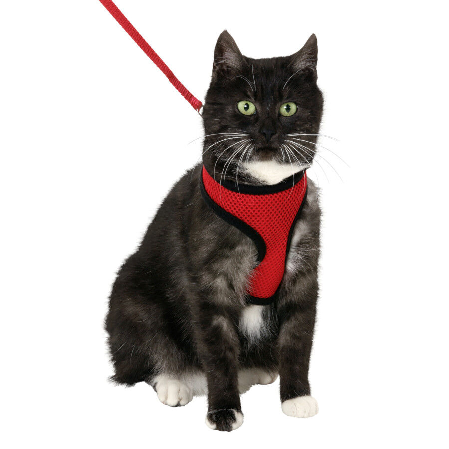 Flamingo Arn&eacute;s con Correa Harms Rojo y Negro para gatitos, , large Imagen numero 1