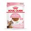 85 g Royal Canin Kitten Sterilised salsa sobre para gatos, , large indicador imagen numero 1