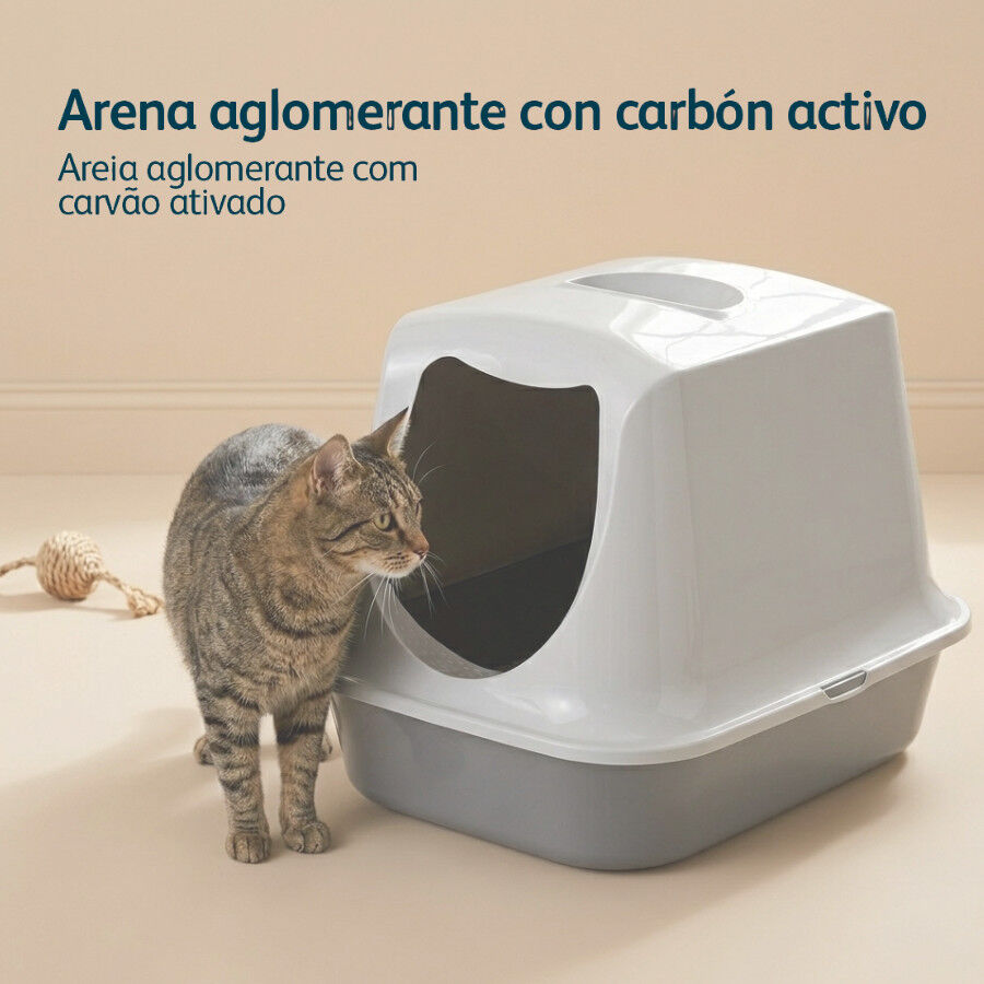 10 L Nova Clean Ultra Lecho Aglomerante Carb&oacute;n para gatos, , large Imagen numero 5