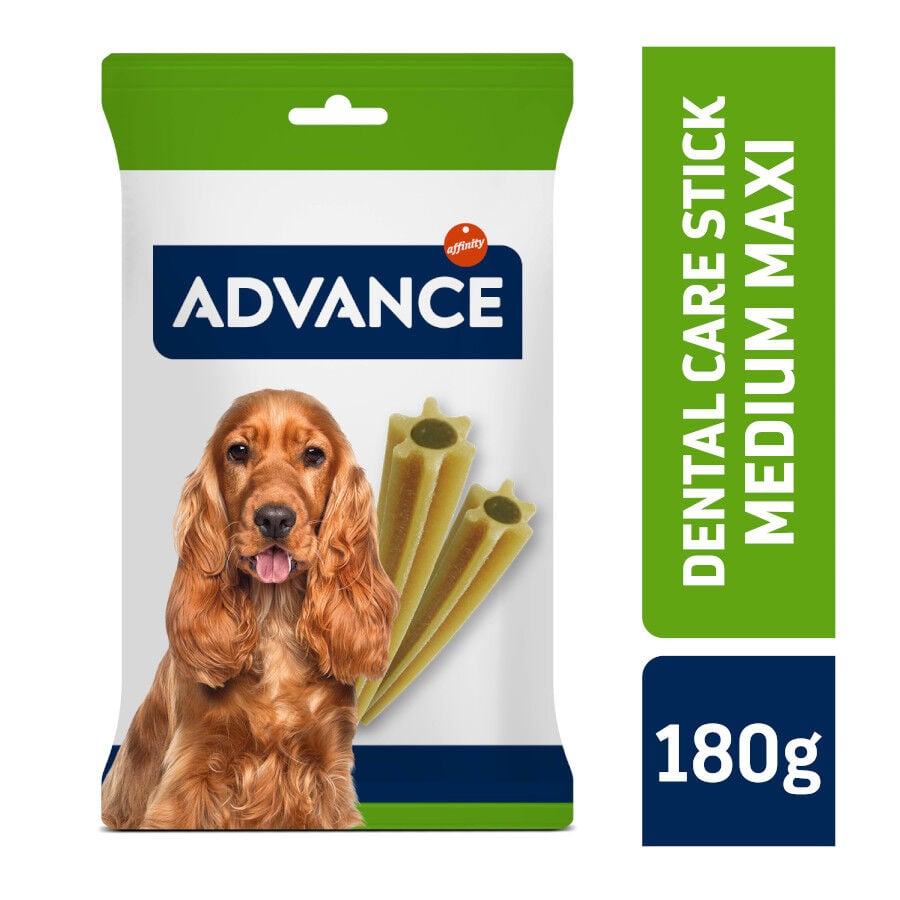 Advance Dental Care Stick Medium y Maxi snack para perros thumbnail