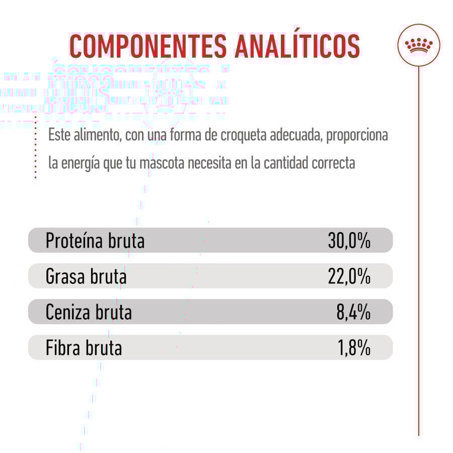 Royal Canin Starter MotheryBaby Maxi pienso para perros thumbnail