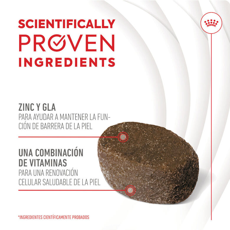 Royal Canin Skin &amp; Coat Chews Adult Suplemento nutricional para perros thumbnail