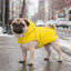 Gotoo Impermeable Reflectante Amarillo para perros, , large indicador imagen numero 1