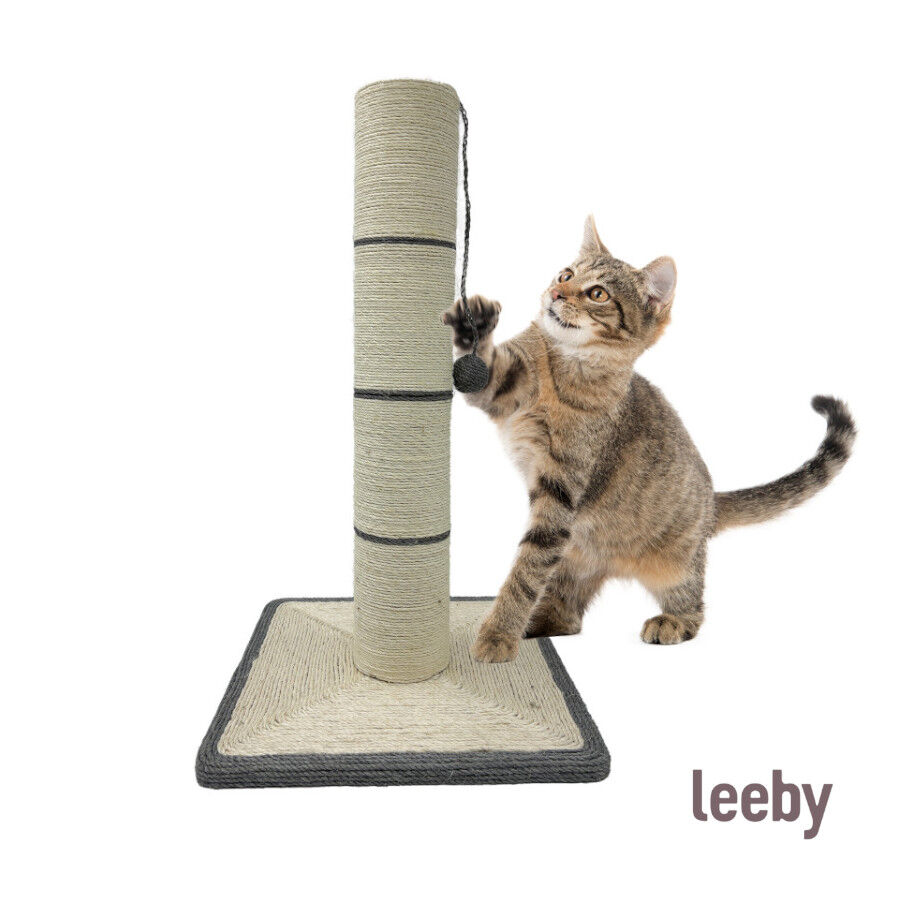 Leeby Isidoro rascador de sisal con juguete para gatos thumbnail