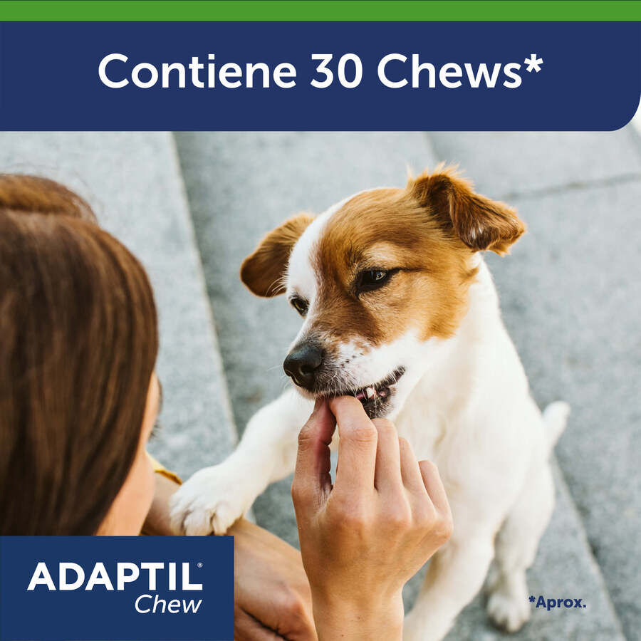 Adaptil Chew Relajante en comprimidos para el estrés ocasional en el perro thumbnail