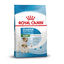 4 kg Royal Canin Starter MotheryBaby Mini pienso para perros, , large indicador imagen numero 1