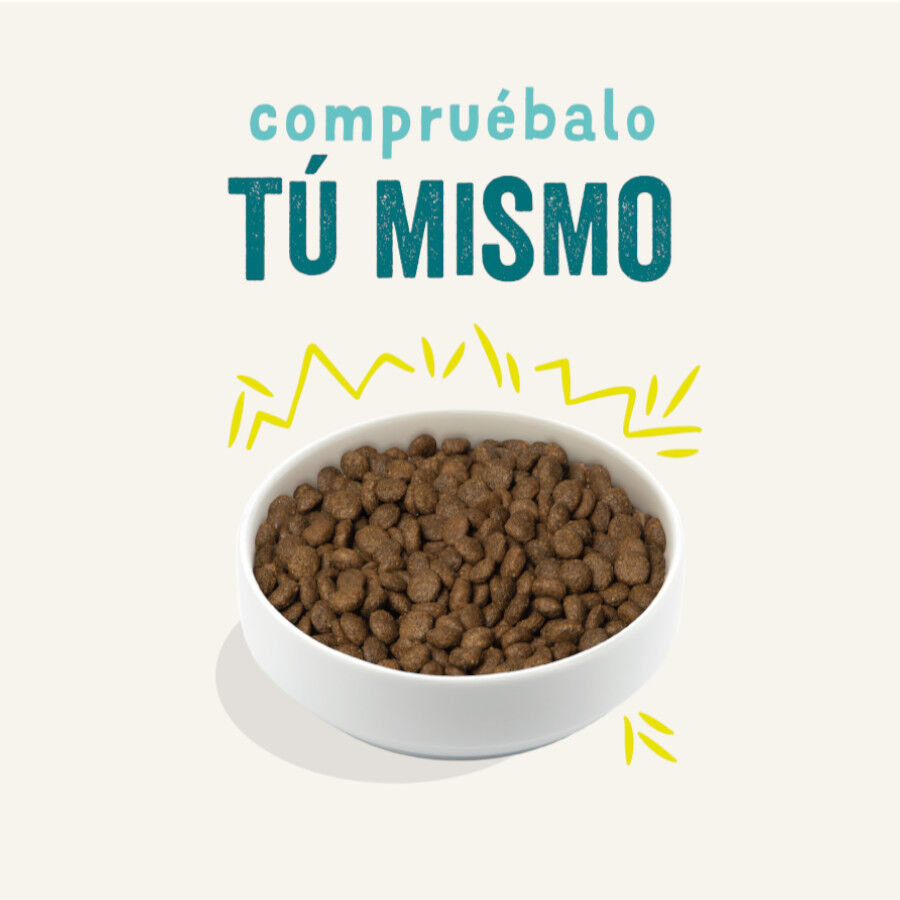 Edgard &amp; Cooper Zanahoria y Calabacín pienso para perros thumbnail