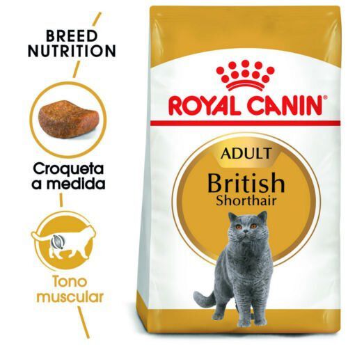 Royal Canin Adult British Shorthair pienso para gatos thumbnail