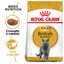 10 kg Royal Canin Adult British Shorthair pienso para gatos, , large indicador imagen numero 2