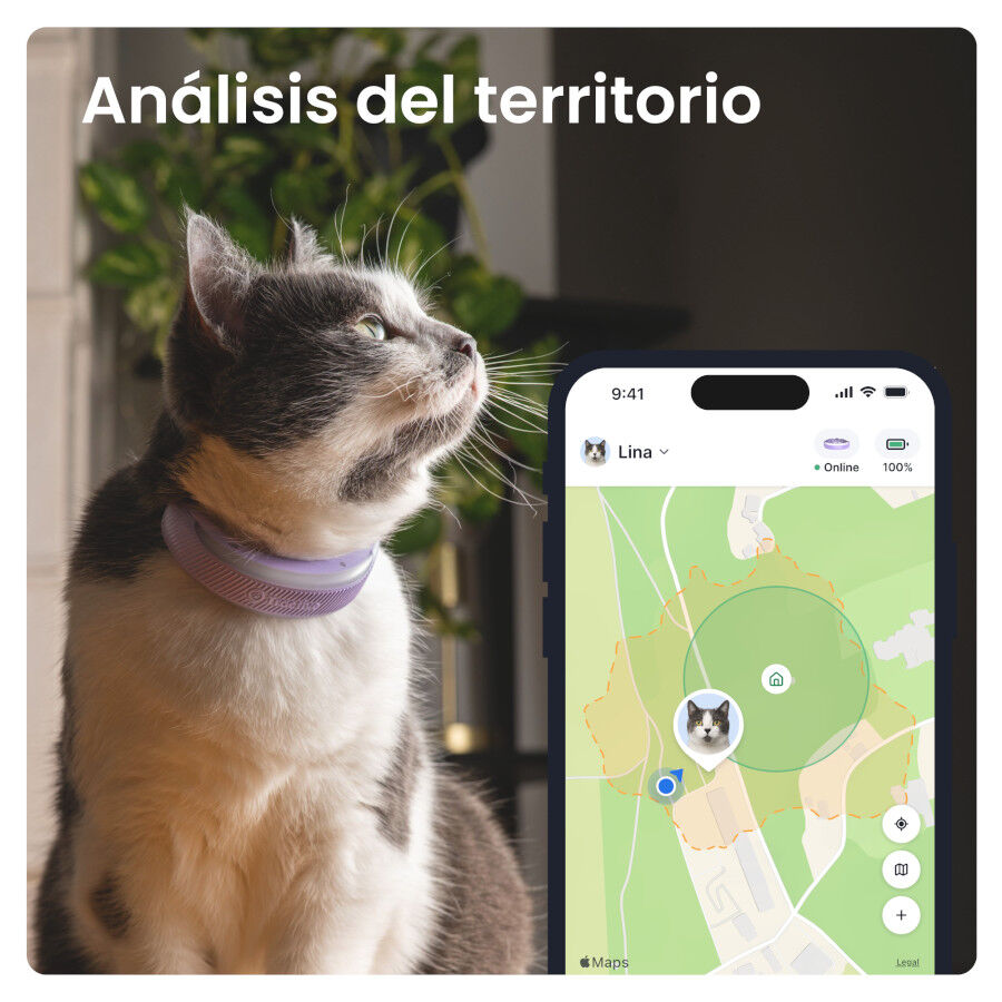 Tractive Cat 6 Mini Lavanda GPS para gatos, , large Imagen numero 4