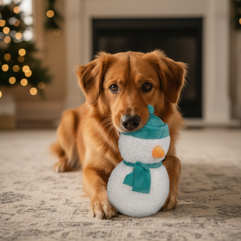 Wonder Christmas Peluche Muñeco de Nieve Navideño para perros,  Imagen numero 3 Wonder Christmas Peluche Muñeco de Nieve Navideño para perros, , large Imagen numero 3