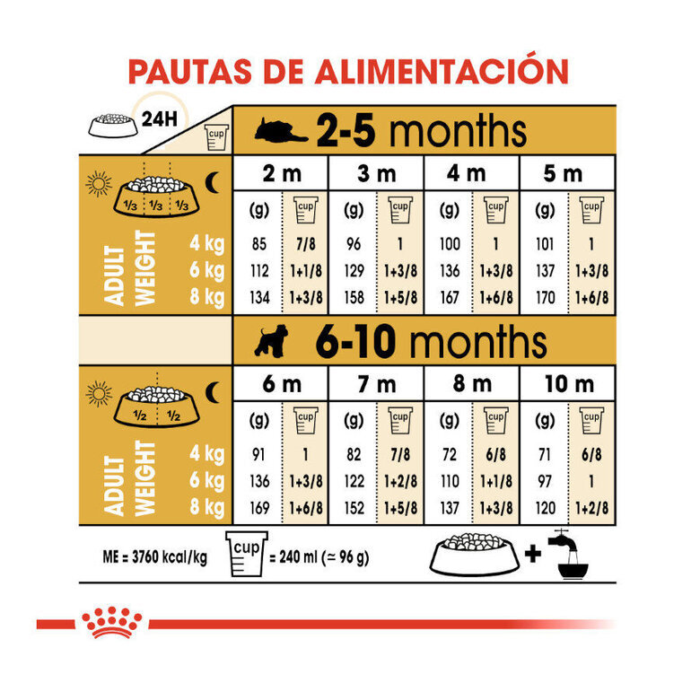 1.5 kg Royal Canin Puppy Miniature Schnauzer pienso para perros,  Imagen numero 2 1.5 kg Royal Canin Puppy Miniature Schnauzer pienso para perros, , large Imagen numero 2