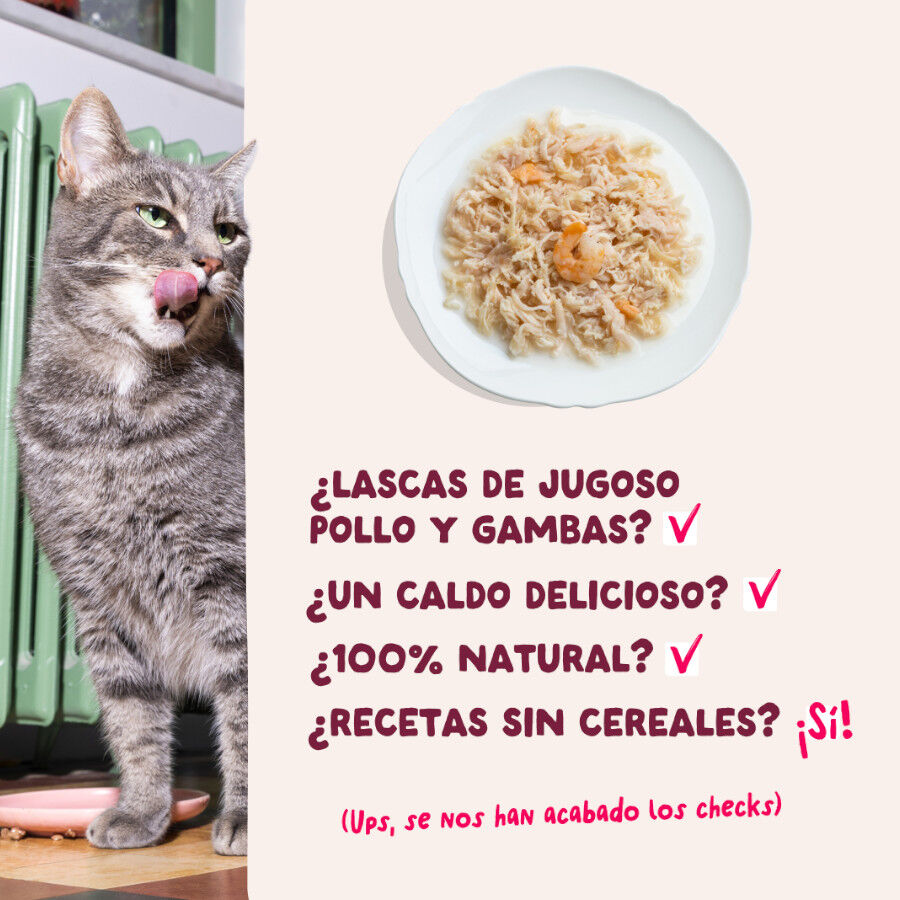 70 g Edgard & Cooper Filetes de Pollo y Gambas Lata para gatos, , large Imagen numero 4