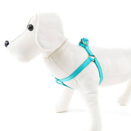 Nayeco Basic arn&eacute;s para perros aguamarina Imagen numero 1