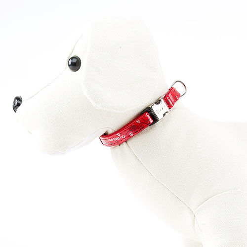 Envy Wild Forever Collar para perros color rojo Imagen numero 1