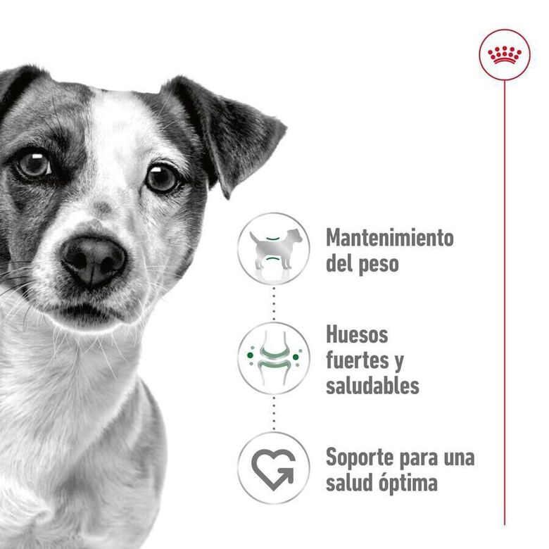 Royal Canin Mini Adult pienso para perros thumbnail