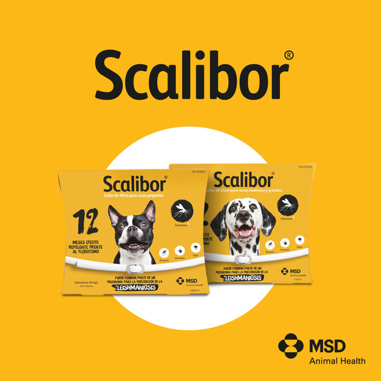 Scalibor Collar Antiparasitario para perros thumbnail
