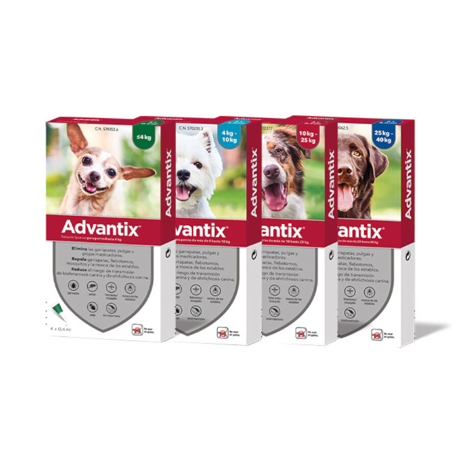 Advantix Pipetas Antiparasitarias para perros thumbnail