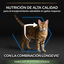 3 kg Pro Plan Senior Sterilized Pavo Pienso para gatos, , large indicador imagen numero 6