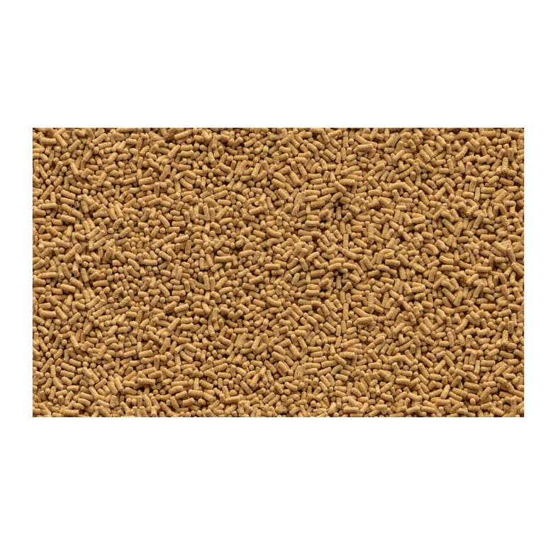 Tetra Pond Sticks para peces de lago,  Imagen numero 2 Tetra Pond Sticks para peces de lago, , large Imagen numero 2