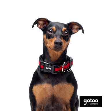 Gotoo Collar de malla transpirable rojo para perros