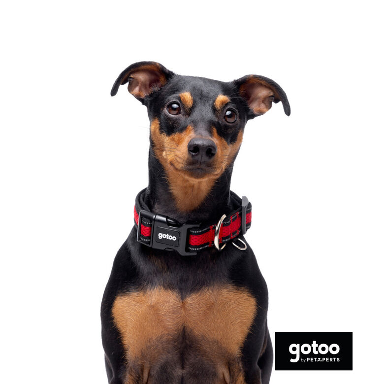 Gotoo Collar de malla transpirable rojo para perros thumbnail