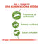 Royal Canin Active Life Outdoor pienso para gatos, , large indicador imagen numero 5