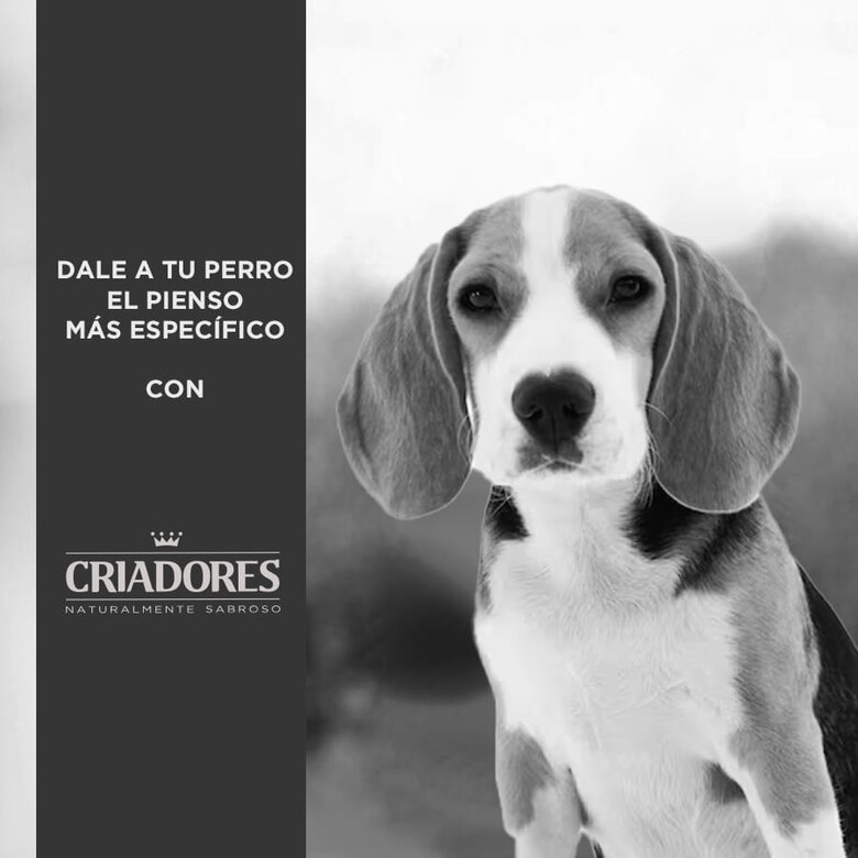 Criadores Adulto Obesity pienso para perros, , large image number null