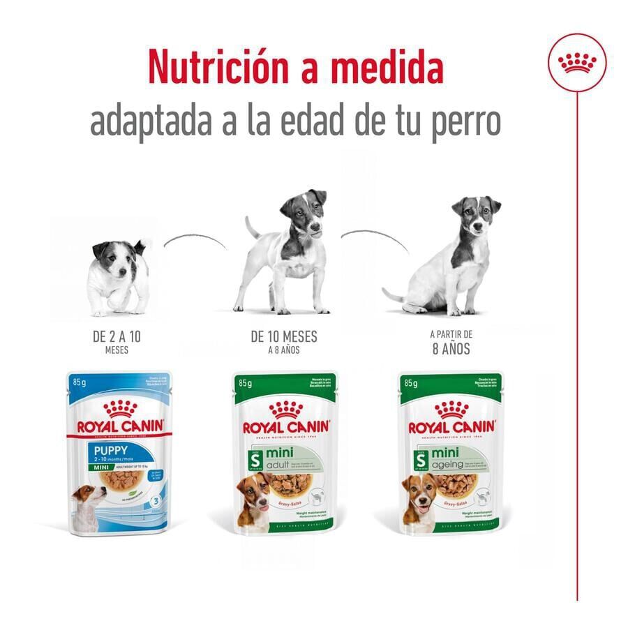 Royal Canin Mini Adult sobre en salsa para perros thumbnail