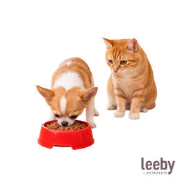 Leeby Comedero de Pl&aacute;stico Rojo para perros y gatos