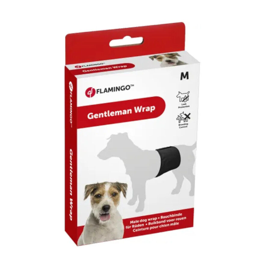 Flamingo Pañal Lavable para perros machos