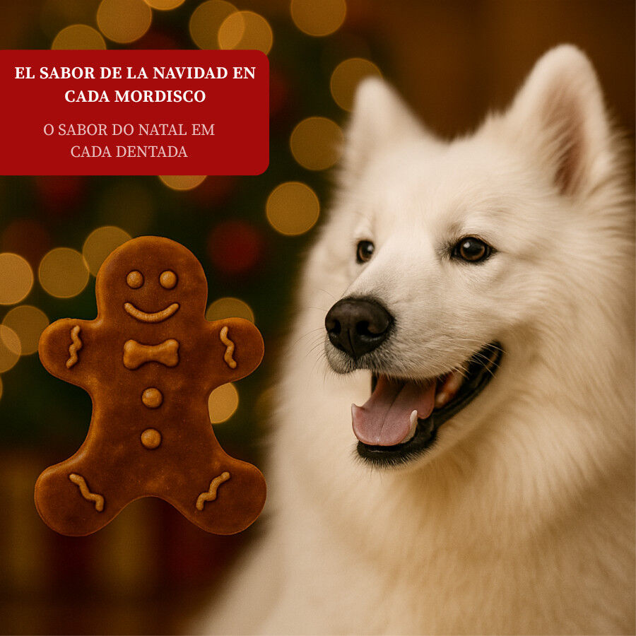 Wonder Christmas Galleta de Jengibre para perros thumbnail