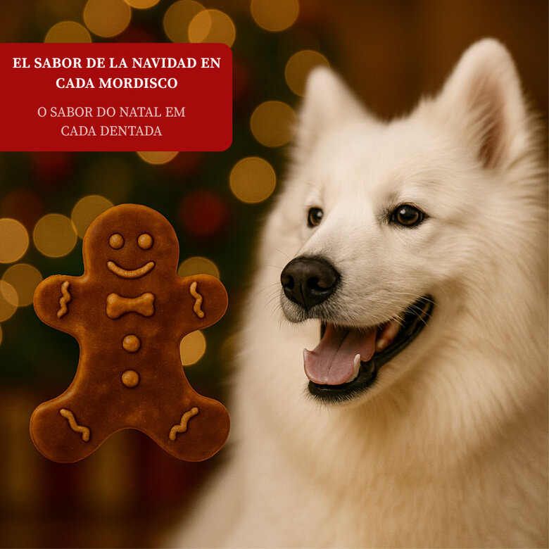 75 g Wonder Christmas Galleta de Jengibre para perros,  Imagen numero 4 75 g Wonder Christmas Galleta de Jengibre para perros, , large Imagen numero 4