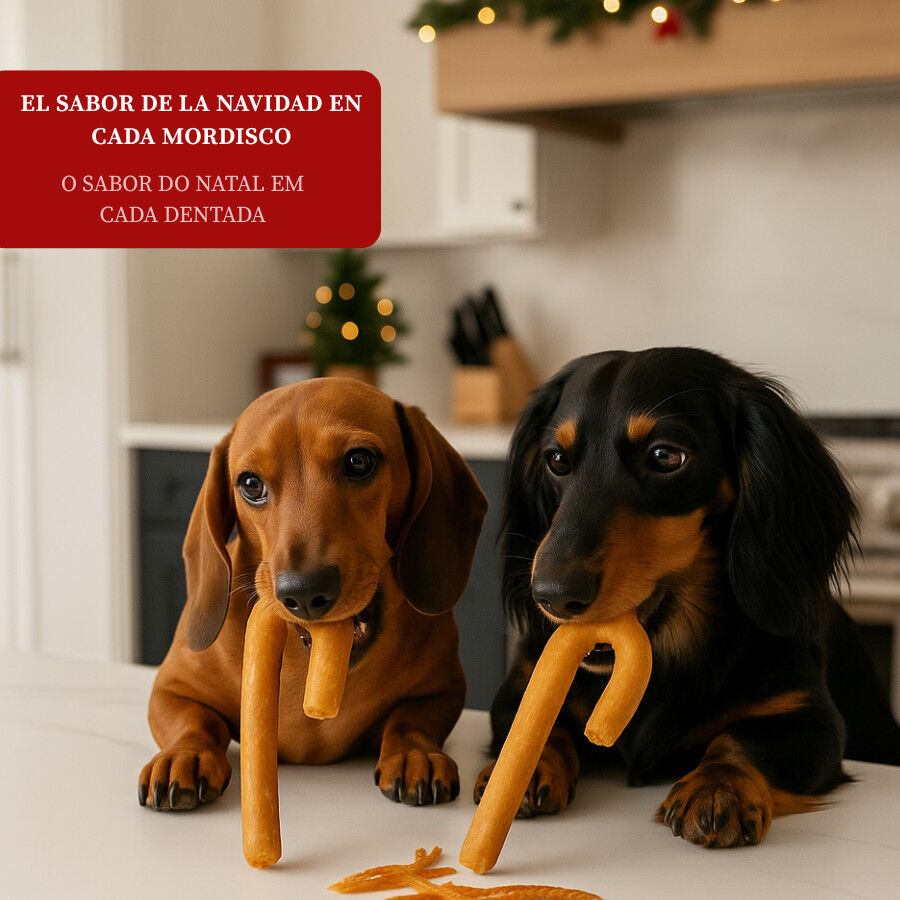 Wonder Christmas Snack Navideño para perros thumbnail