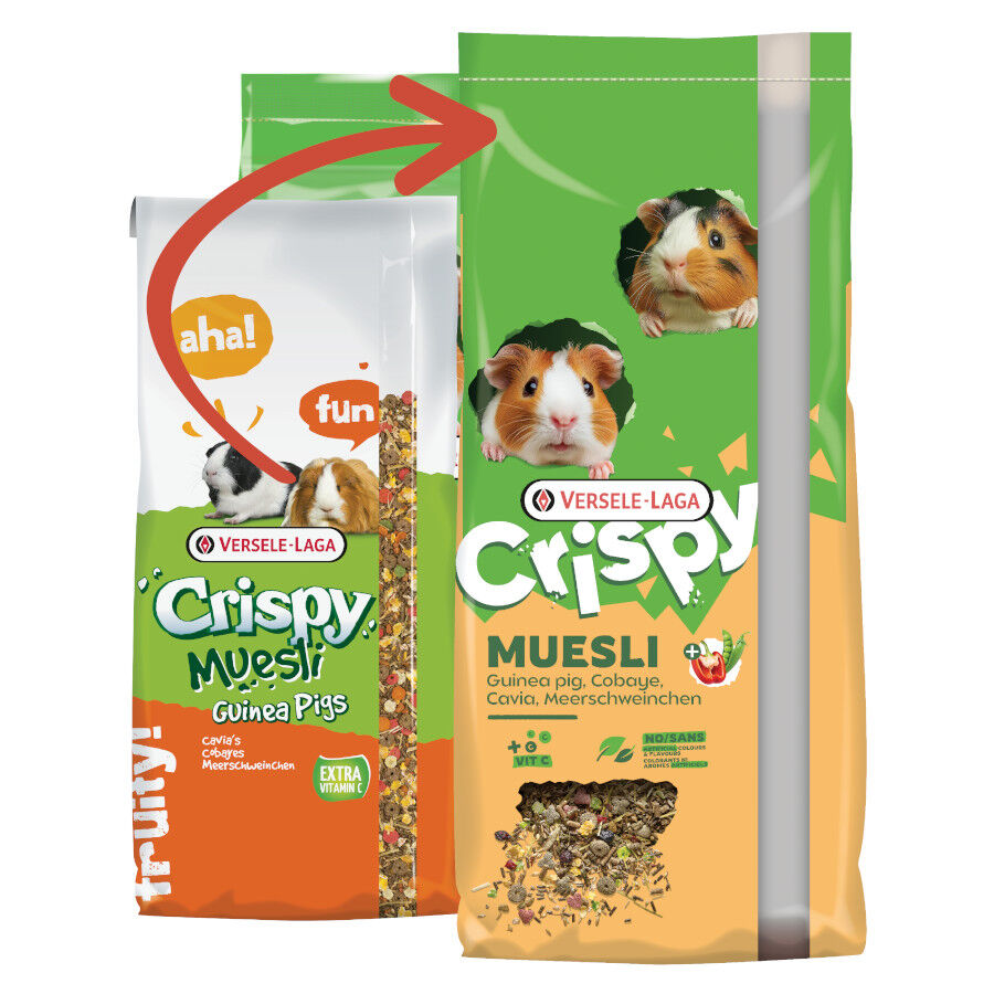 20 kg Versele-Laga Crispy Muesli Pienso para cobayas, , large Imagen numero 2