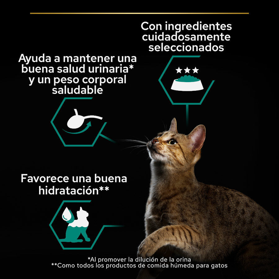 Pro Plan Adult Sterilised Maintenance Salmón y Atún lata para gatos thumbnail