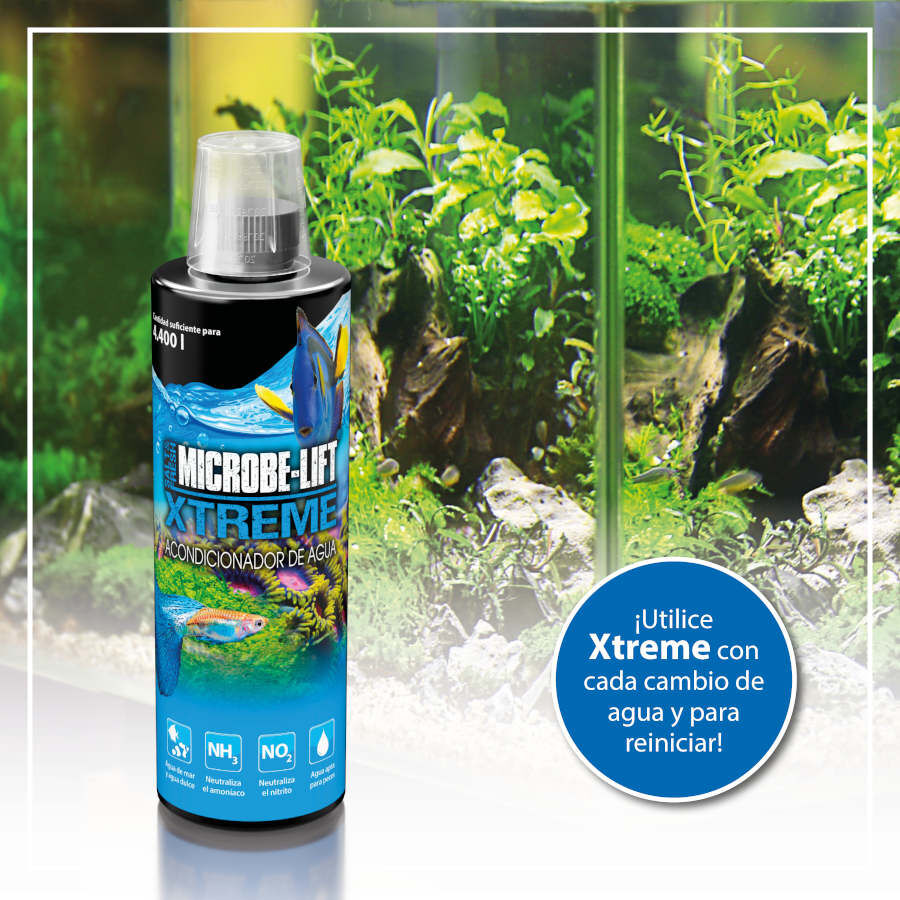 Microbe-Lift Xtreme Acondicionador de Agua para acuarios thumbnail