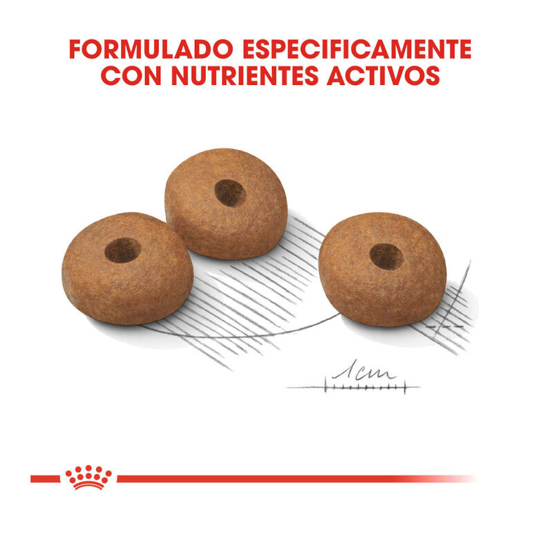 Royal Canin Medium Light Weight Care pienso para perros thumbnail