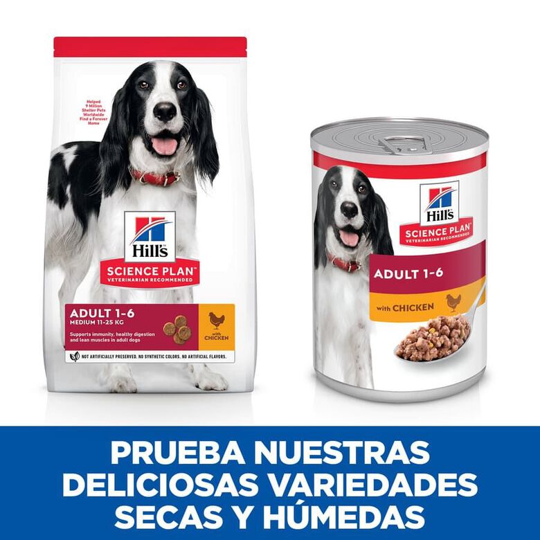 Hill&#039;s Science Plan Adult pollo lata para perros thumbnail